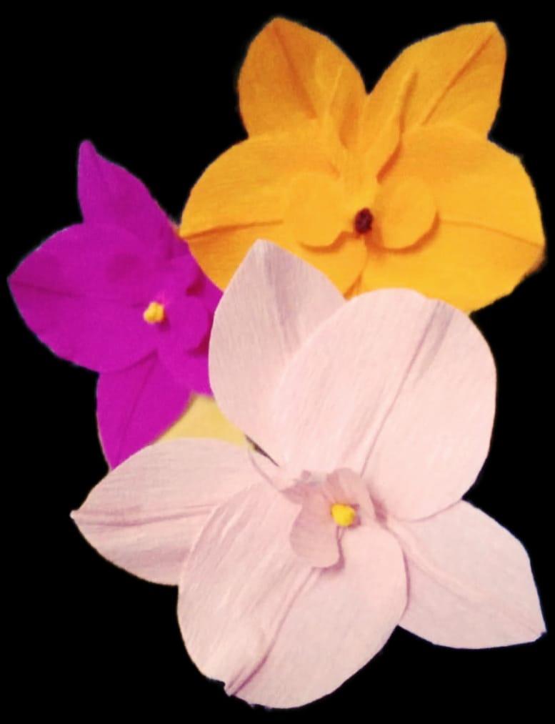 WhatsApp Image 2024-12-16 at 11.15.15 PM (4)