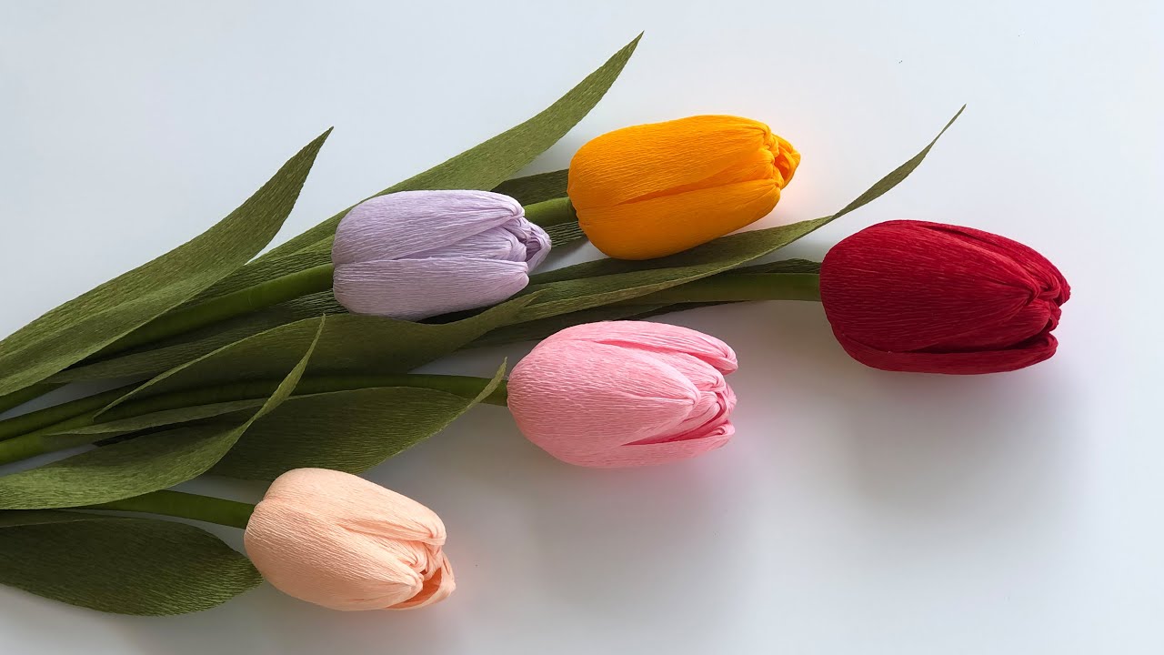 WhatsApp Image 2024-12-16 at 11.15.16 PM (1)